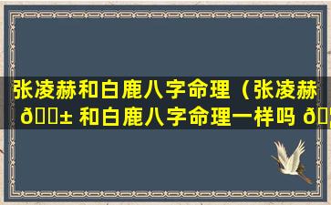 张凌赫和白鹿八字命理（张凌赫 🐱 和白鹿八字命理一样吗 🦉 ）
